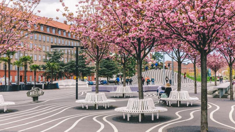 The Black Square in Superkilen Park in Nørrebro, Copenhagen.