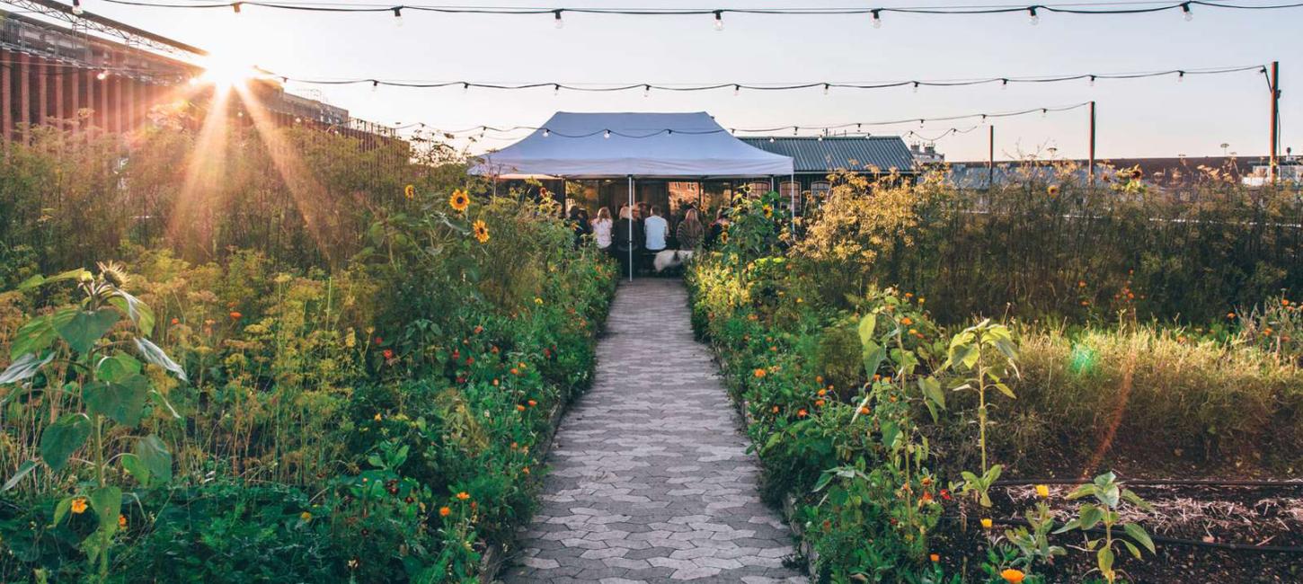 GRO Spiseri and rooftop farm in Østerbro