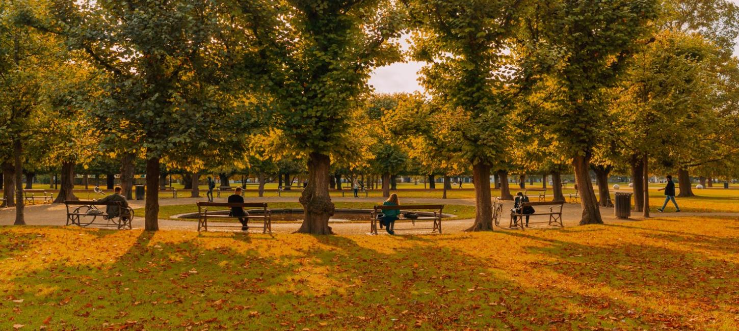 Folk nyder det københavnske efterår i Kongens Have