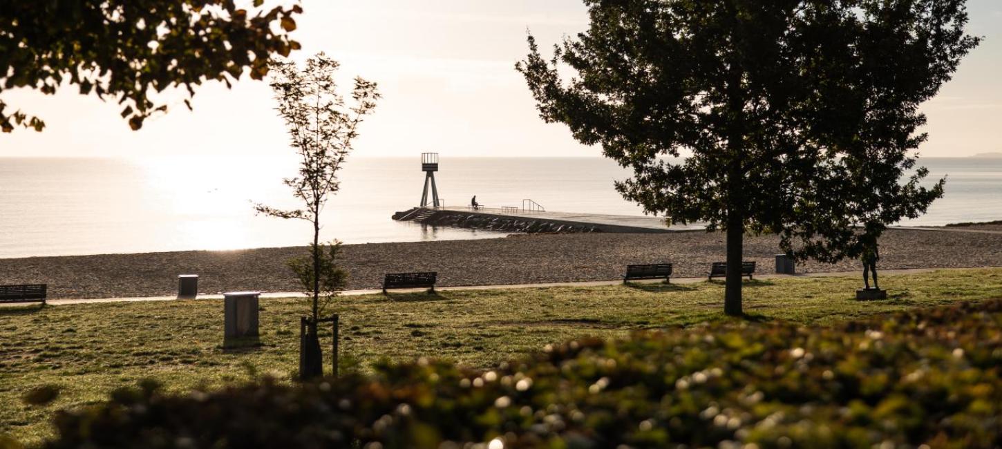 Bellevue beach in the morning