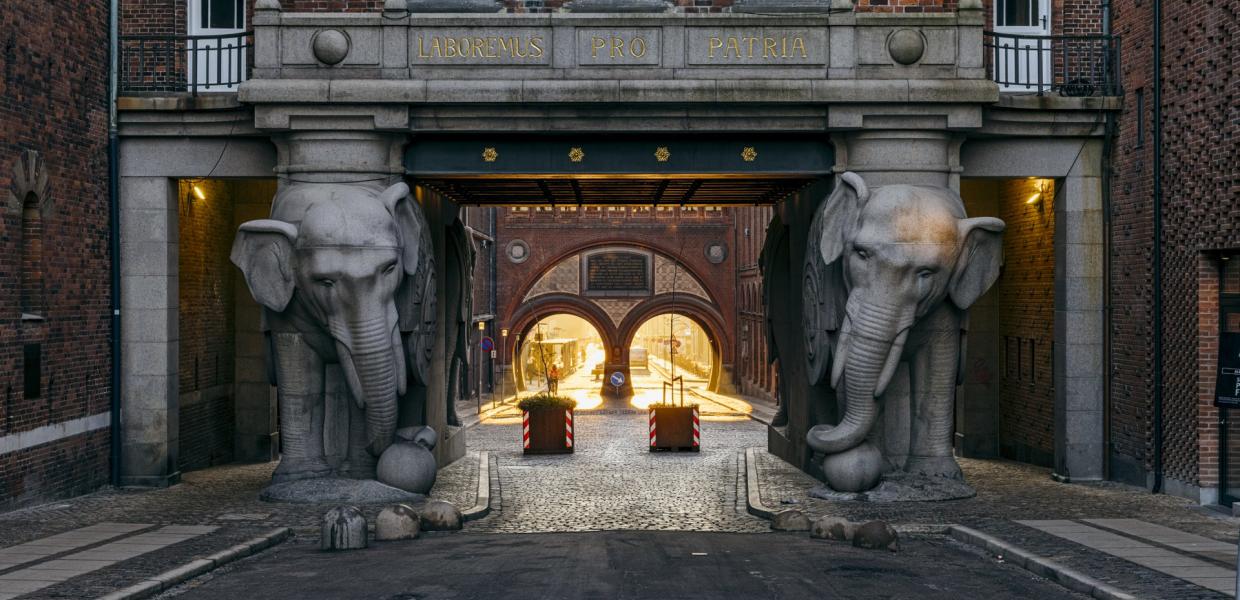 Carlsberg byen Elefanterne