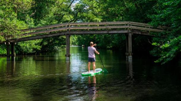 Stand Up Paddling north of Copenhagen 