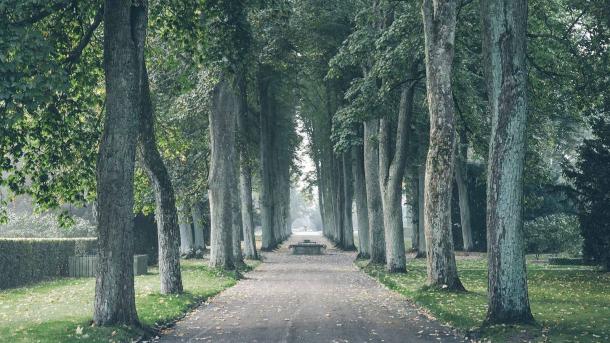 Vestre Cemetery | Thomas Høyrup Christensen