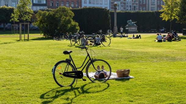 Bike Summer