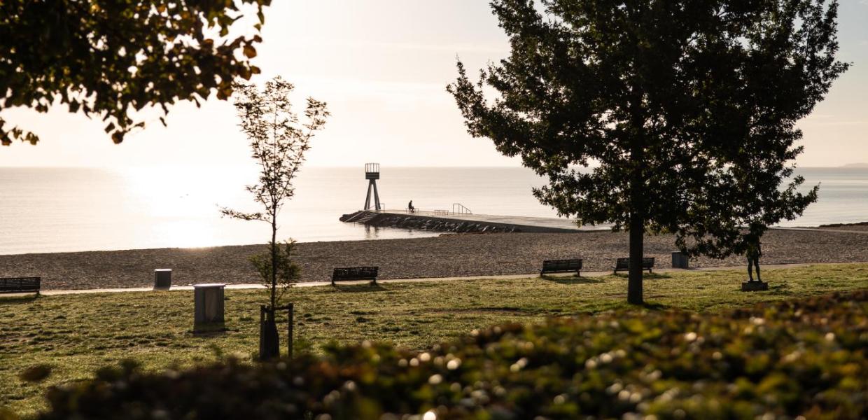 Bellevue beach in the morning