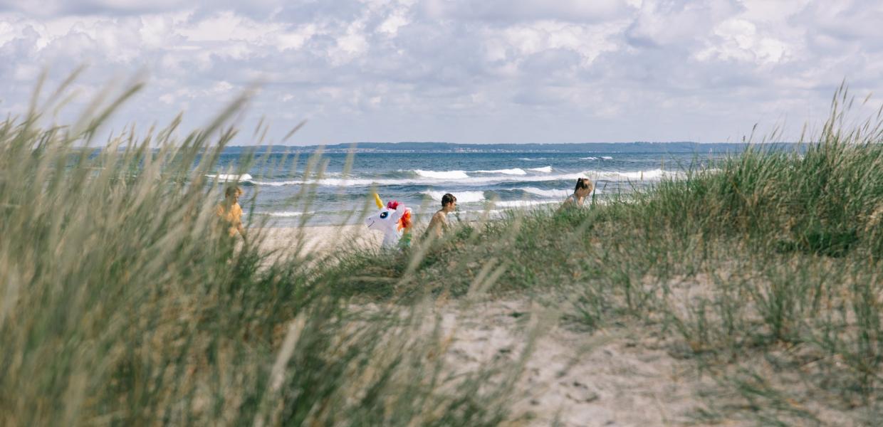 Hornbæk strand