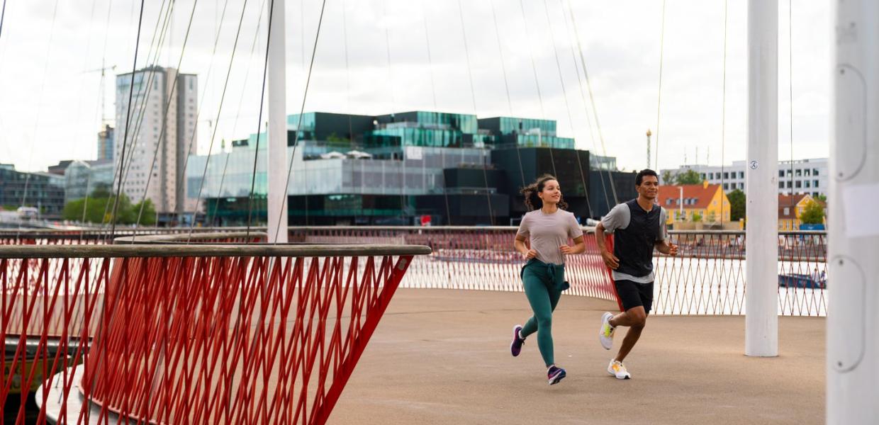 Running The Circle Bridge