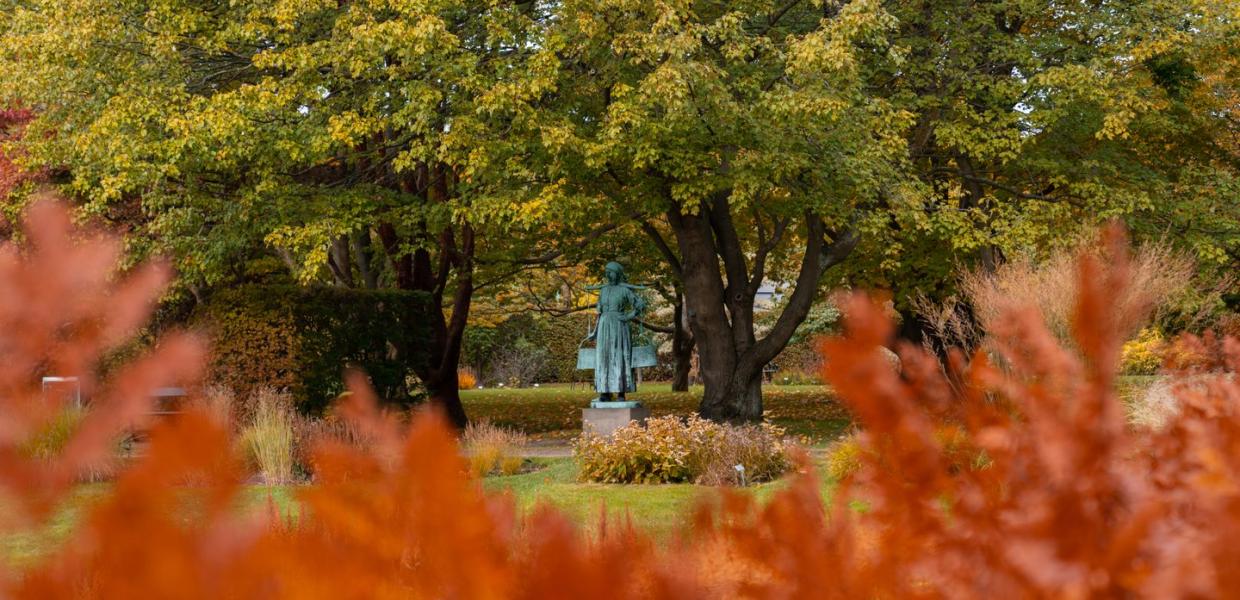 Autumn