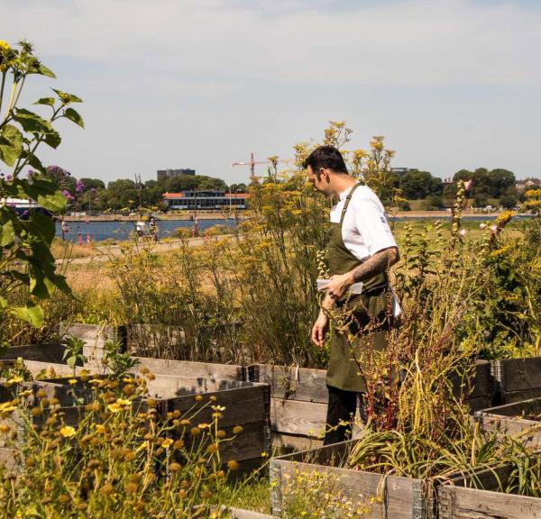 Matt Orlando uses his own locally farmed produce in his cooking at Amass and Broaden & Build in Refshaleøen.