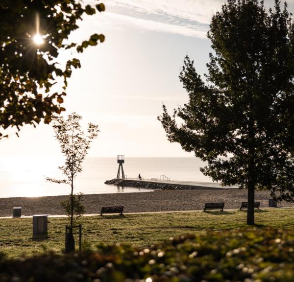 Bellevue beach in the morning