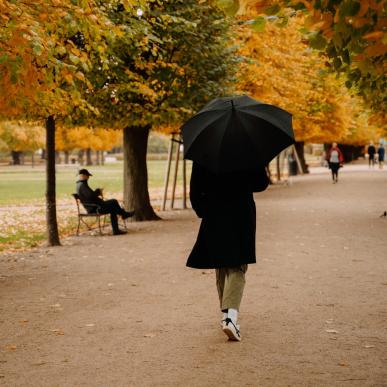En gåtur i efterårets Kongens Have