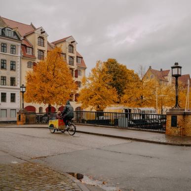 Autumn bike ride