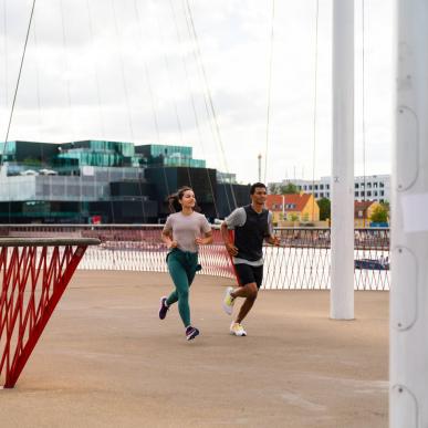 Running The Circle Bridge