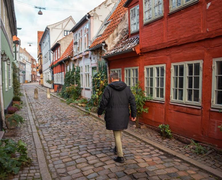 Helsingør huse