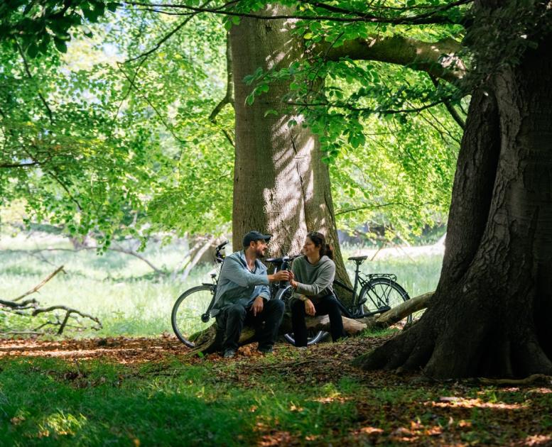 Picnic in the Deer Park